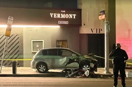 Motorista que atropelou 30 pessoas em Los Angeles foi baleado e agredido por populares