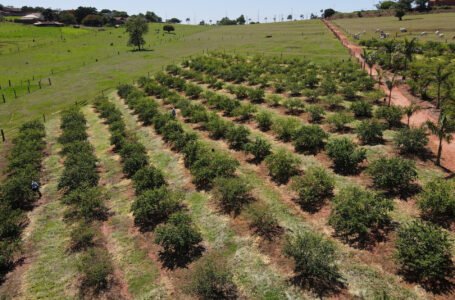 Juros mais acessíveis: Fomento Paraná lança FIDC Agro com foco no crédito rural