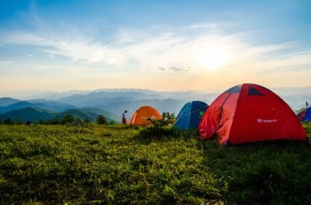 Oito crianças são intoxicadas em acampamento e polícia prende suspeito