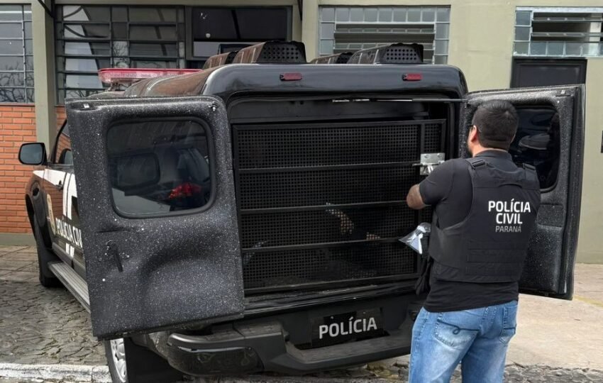  Homem se passa por advogado e é preso preventivamente em Ponta Grossa