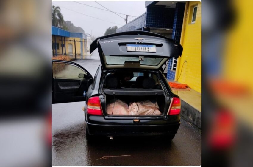  Veículos de Dois Vizinhos e Cascavel são interceptados com 285 quilos de maconha