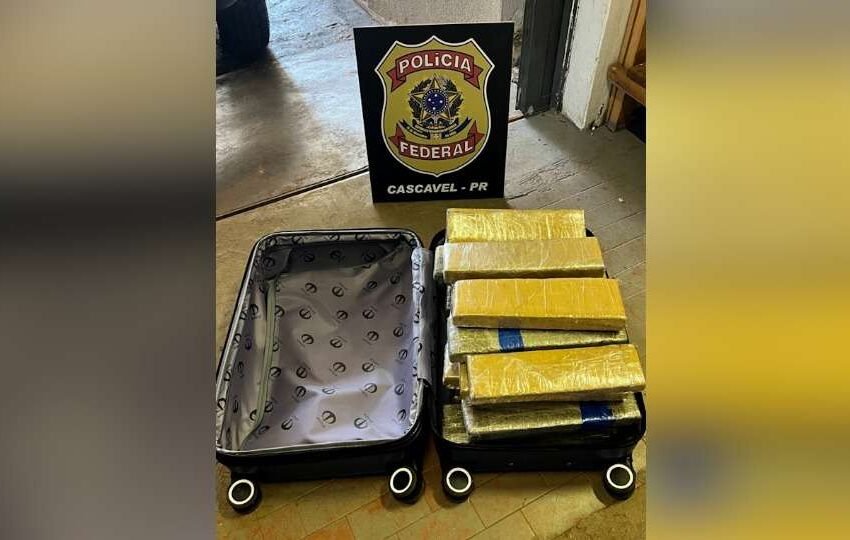  Polícia apreende 25 kg de maconha com passageira em voo para Fortaleza