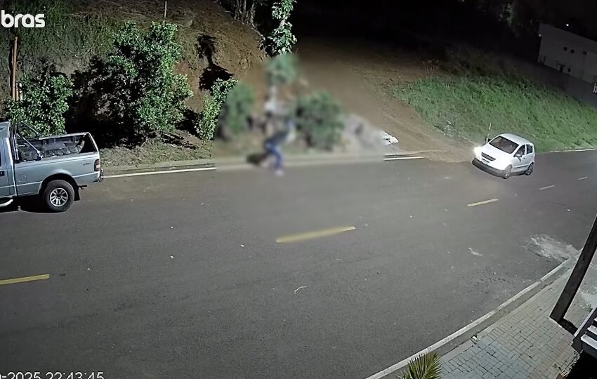  Vídeo registra maus-tratos a cães; homem é indiciado em Francisco Beltrão