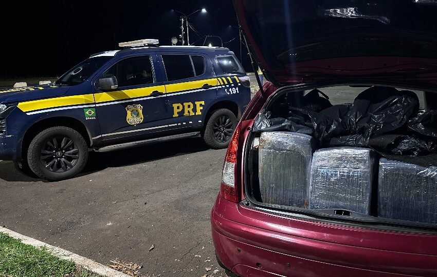  Apreensão de 416 kg de maconha na BR-277 termina com prisão de foragido pela PRF