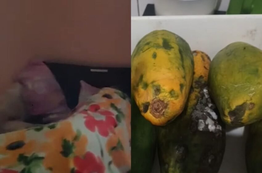  Donos de asilo são detidos por suspeita de maus-tratos a idosos