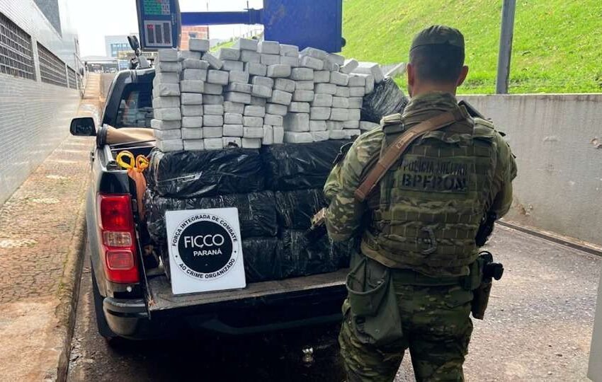  Depósito às Margens de Rio Escondia 300 Kg de Maconha, Diz Polícia