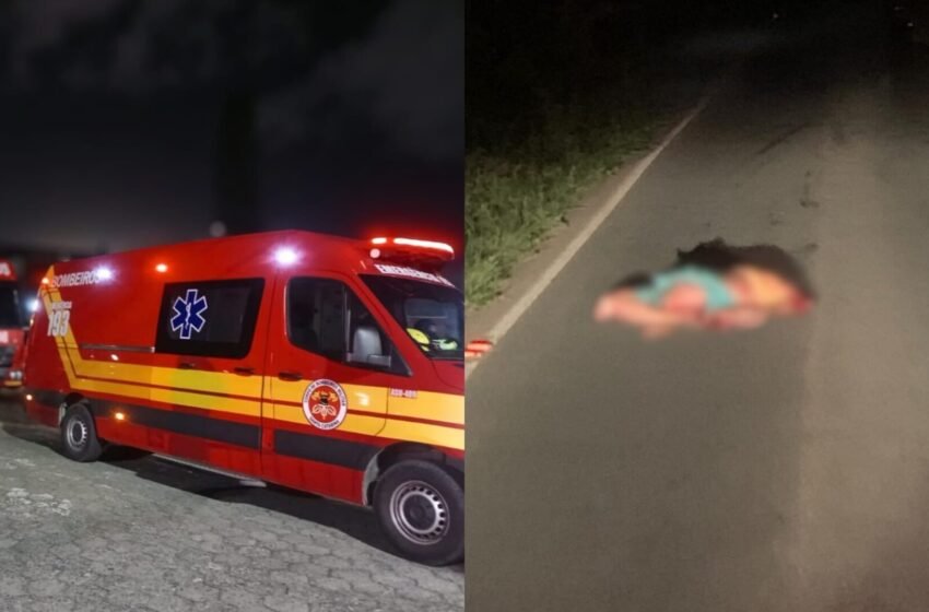  Cena chocante: homem é encontrado morto com o corpo dilacerado em rodovia catarinense