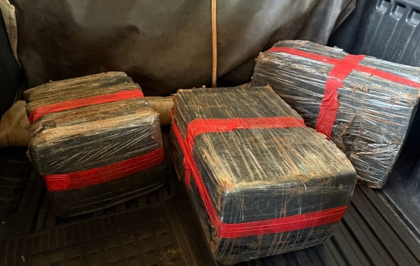  Grande apreensão: 67 kg de maconha são encontrados às margens do Lago de Itaipu