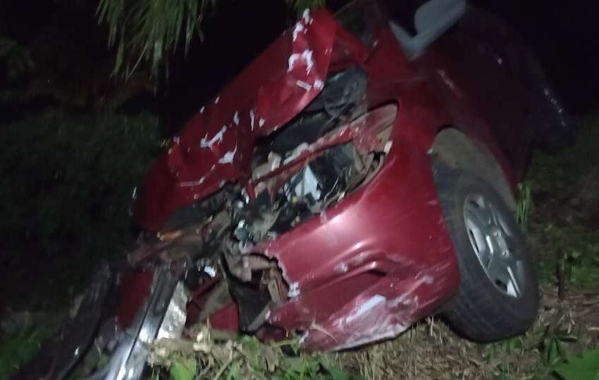  Carro e micro-ônibus se envolvem em acidente em rodovia do Sudoeste do Paraná
