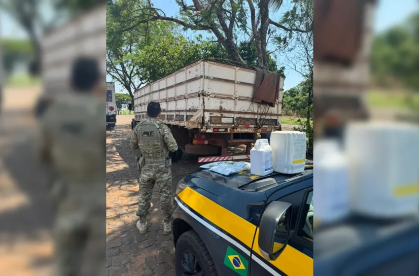  Polícia apreende caminhão transportando 2 toneladas de agrotóxicos clandestinos no Paraná