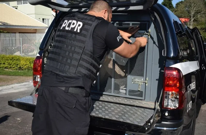  Homem é preso em SP após aplicar “golpe do amor” em idosa do Paraná