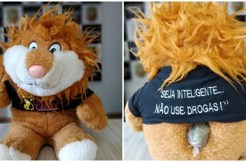Maconha é encontrada dentro de leão de pelúcia do Proerd durante operação policial
