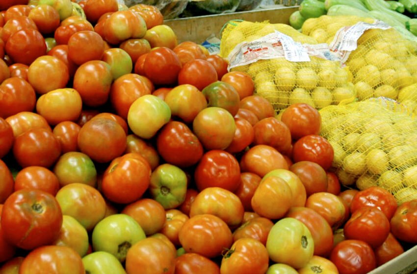  Iniciativas paranaenses de segurança alimentar são reconhecidas em premiação nacional