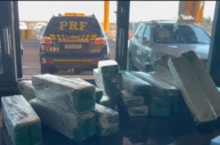 PRF prende jovem com mais de 61 kg de maconha na BR-369