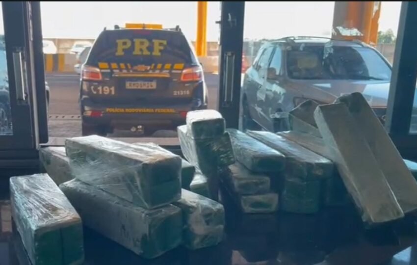  PRF prende jovem com mais de 61 kg de maconha na BR-369
