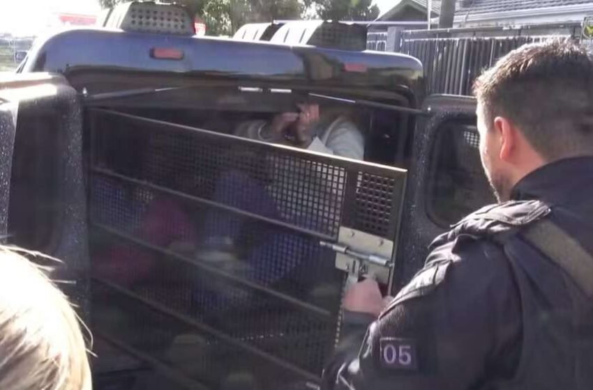  Golpe imobiliário: empresários são presos por vender terrenos que não estavam à venda