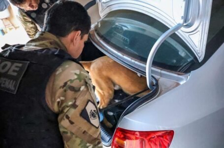 Polícia prende 25 suspeitos e desarticula esquema milionário do tráfico