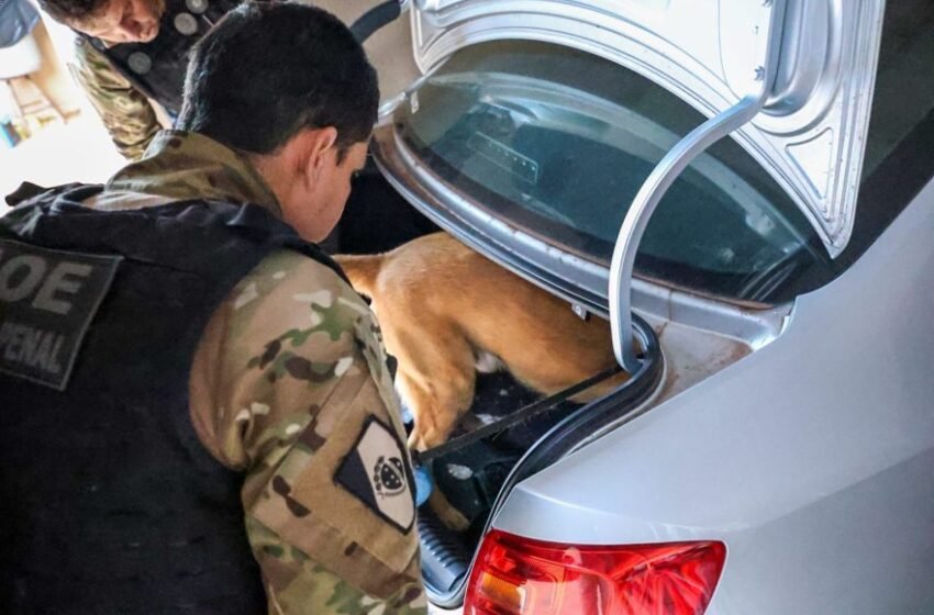  Polícia prende 25 suspeitos e desarticula esquema milionário do tráfico