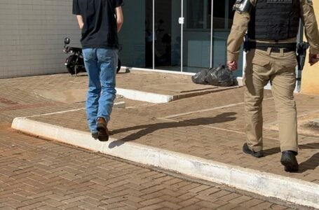 Patrulha Rodoviária Estadual apreende carga de agrotóxicos na BR-277