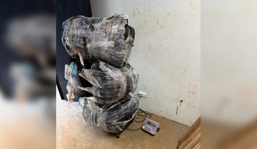  Polícia Federal e Militar apreendem quase 78 kg de maconha no Rio Paraná