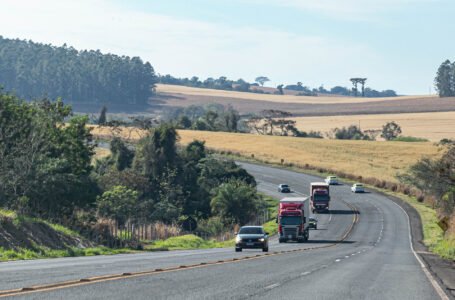 Desconto de 6% é mantido no pagamento à vista e IPVA 2026 pode ter queda de até metade no valor